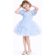 Diamondstar Kız Çocuk Güllü Parti Kıyafeti Dogum Günü ve Gösteri Kostümü Elbisesi