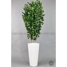 Biçiçek Yapay Benjamin Ağacı 6 Dallı Yoğun Yapraklı 220 cm