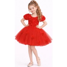 Diamondstar Kız Çocuk Güllü Parti Kıyafeti Dogum Günü ve Gösteri Kostümü Elbisesi