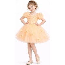 Diamondstar Kız Çocuk Güllü Parti Kıyafeti Dogum Günü ve Gösteri Kostümü Elbisesi
