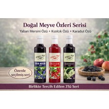 Nature's Food Yaban Mersini Özü Kızılcık Özü Karadut Özü Doğal Meyve Özleri Seti