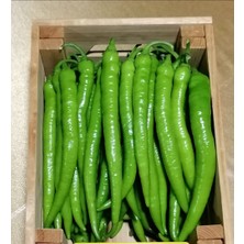 Kağan Fide Market Demre Etli (Sivri ) Biber Fidesi 6 Adet