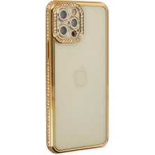 Uravas Store Iphone 12 Kılıf Joke Taşlı - Gold