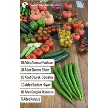 Kağan Fide Market Sebze Fidesi Seti  10 Ar Adet (Demre Biber, Badem Hıyar, Salçalık ve Oturak Domates, Anamur Patlıcan, Crimsonsweet Karpuz Fidesi )