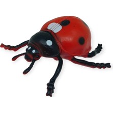 Böcek Figürleri - Gerçekçi Figür - Uğur Böceği 9 cm (Lisinya)