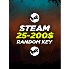 25$ - 200$ Random Steam Key