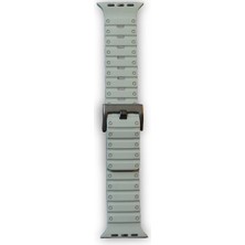 Senka Watch 42MM Magnus Mıknatıslı Kordon - Gri