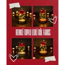 SHC4200 Renkli Ledli Gül Fanus