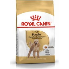 Royal Canin Poodle Yetişkin Köpek Maması 3 kg 10 Aylıktan Büyük Poodle İçin Özel Tasarım