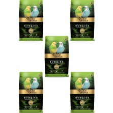 Gold Wings Premium Muhabbet Kuşu Yemi 1 kg x 5 Adet Tam Yem İçeriği ile Besleyici