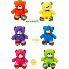 Mrspancer 029626E - Sevimli Ayıcık Oturan Rengarenk 1 Adet 30CM Eğlenceli Peluş Ayıcık Kurdeleli
