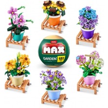 Mrspancer 193647G - Max Saksı Bitkileri Sürprizi