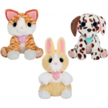 Mrspancer 152194G - Scruff A Luvs Klasik Seri Paket CRU10000