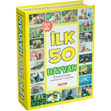 Mrspancer 564213E - Zeka Geliştirici Oyuncak F.cards Ilk Hayvan 1 Adet