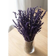 Rosess Şoklanmış Dökülmeye Dayanıklı Lavanta Demeti
