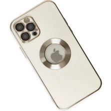 DS LLC Ieg™  Iphone 12 Pro Max Kılıf Store Silikon - Beyaz