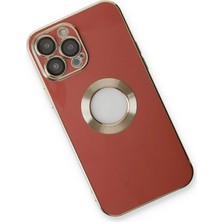 DS LLC Ieg™  Iphone 13 Pro Kılıf Store Silikon - Kırmızı