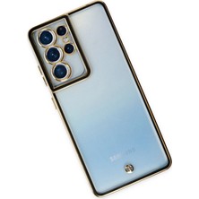 DS LLC Ieg™  Samsung Galaxy S21 Ultra Kılıf Liva Lens Silikon - Siyah