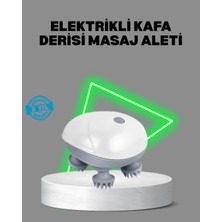 DS LLC Elektrikli Kafa Derisi Masaj Aleti Islak ve Kuru Kullanım
