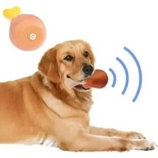 DS LLC Ieg™ Köpekler Için Sesli Oyuncak Tavuk Butu