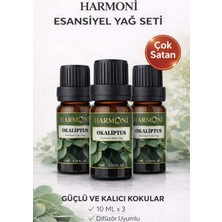 Harmoni Okaliptus Esansiyel Uçucu Koku 3x10ML Difüzör Esansı Buhurdanlık Yağı ve Oda Kokusu