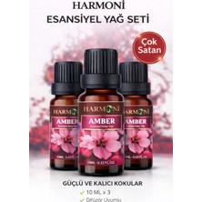 Harmoni Amber Çiçeği Esansiyel Uçucu Koku 3x10ML Difüzör Esansı Buhurdanlık Yağı ve Oda Kokusu
