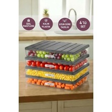 Selka Home 4 Adet 2,25 Lt. Nora Organizer Buzdolabı Buzluk Düzenleyici Saklama Kabı