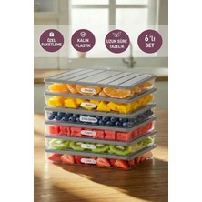 Selka Home 6'lı 2,5 Lt. Buzdolabı Buzluk Düzenleyici Saklama Kabı Açık Gri Dayanıklı Plastik