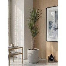 Store Softa Beton Saksı 7lt 24X24 Modern Minimal Dekoratif Iç Mekan Salon Ofis Saksısı Yuka Areka Kaktüs