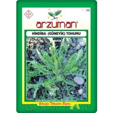 Arzuman Hindiba/güneyik Tohumu 5 Gr Organik Özellikli Yüksek Verim İçin Uygun