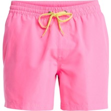 Quiksilver Everyday 15 Erkek Şort EQYJV04120-QK.MJB0