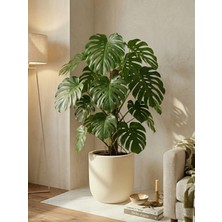 Store Mono Beton Saksı Gri 6lt 24X24 Modern Minimal Dekoratif Iç Mekan Büyük Saksı Kaktüs Yuka Areka