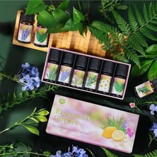 Uravas Store 6'lı Ekonomi Karışık Set Esansiyel Uçucu Yağı Buhardanlık Difüzör Esansı Oda Kokusu
