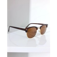 Ayel Glasses Clubmaster Güneş Gözlüğü  Kahverengi