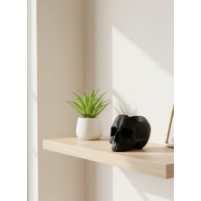 SHC4200 Kurukafa Gamepad Tutucu Ergonomik Dayanıklı Tasarım