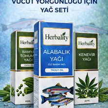 Çare Burada Vücut Yorgunluğu Için Yağ Seti ( Bamya Tohumu Yağı & Alabalık Yağı & Kenewir Yağı)