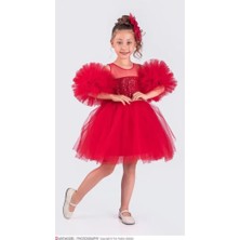 Diamondstar Kız Çocuk Ponponlu Parti Kıyafeti Doğum Günü ve Gösteri Kostümü Elbisesi 3/10 Yaş