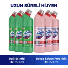 Domestos Çamaşır Suyu Dağ Esintisi 750 ml X3 + Domestos Çamaşır Suyu Beyaz Sabun Ferahlığı 750 ml X3