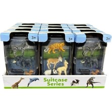 Ctoy Oyuncak Dinazor Seti Mini Çantalı 2057