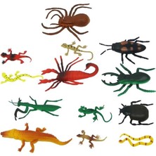 Nuveden Sürüngenler ve Böcekler Poşetli