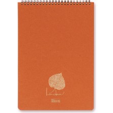 Keskin Color Bloknot Not Defteri A5 80 Yaprak Çizgili Spiralli Linden Ofis 146441-99 (Karışık Renk 1 Adet)