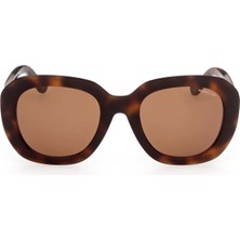 Moncler Güneş Gözlüğü ML0141 54 52E