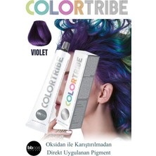 Bbcos Colortribe Direkt Saç Renklendirici - Violet - Oksidansız Yoğun Pigment 100 ml
