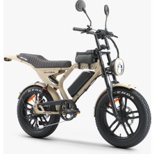 Ape Ryder Mandrıll 1000W Elektrikli Bisiklet Ayna Çanta ve El Gazı Hediyeli