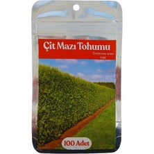Polatoğlu Tarım 100 Adet Çit Mazı Tohumu, Mazı Tohumu
