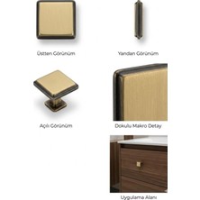 Viva Antik Eskitme Kare Düğme Kulp - Fırçalanmış Gold Mobilya Kulbu