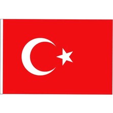 Vatan Polyester Bayrak 70X105 Cm