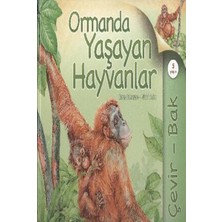 Çevir Bak Ormanda Yaşayan Hayvanlar