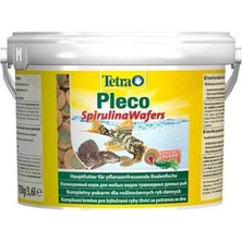 Tetra Pleco Spirulina Algae Wafers 250 gr Açık Otçul Balıklar İçin Yüksek Kalite Besin