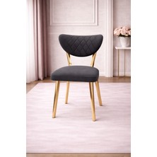 ProBella Elma Mutfak Sandalyesi Yemek Odası Bahçe Balkon Otel Restoran Kafe Sandalyesi